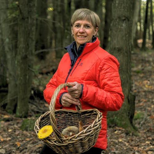 Initiation à la cueillette et à l’identification des champignons sauvages - Région de Racine